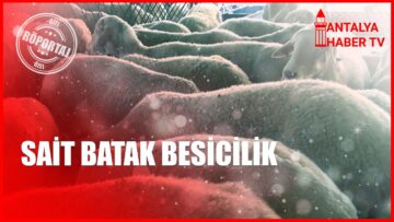 SAİT BATAK BESİCİLİK