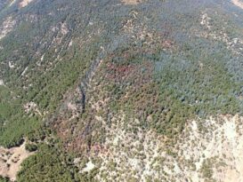 Antalya Kumluca’daki Orman Yangını Kontrol Altına Alındı