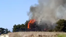 Manavgat’ta Tarım Arazisinde Çıkan Yangın Ormanlık Alana Sıçradı