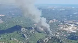 Serik’te Orman Yangını