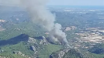 Serik’te Orman Yangını