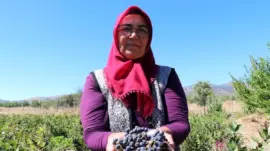 Aronya ile Şifa Dağıtan Kadın