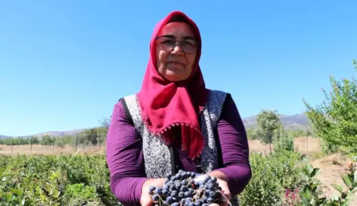 Aronya ile Şifa Dağıtan Kadın