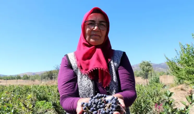 Aronya ile Şifa Dağıtan Kadın