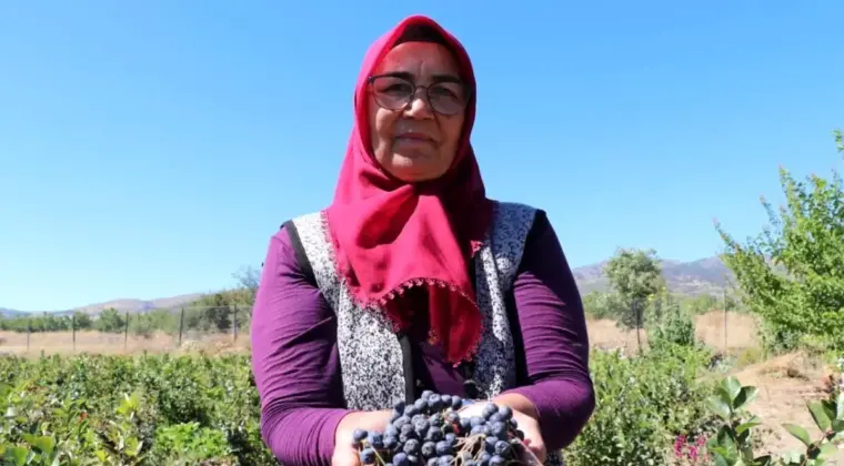 Aronya ile Şifa Dağıtan Kadın