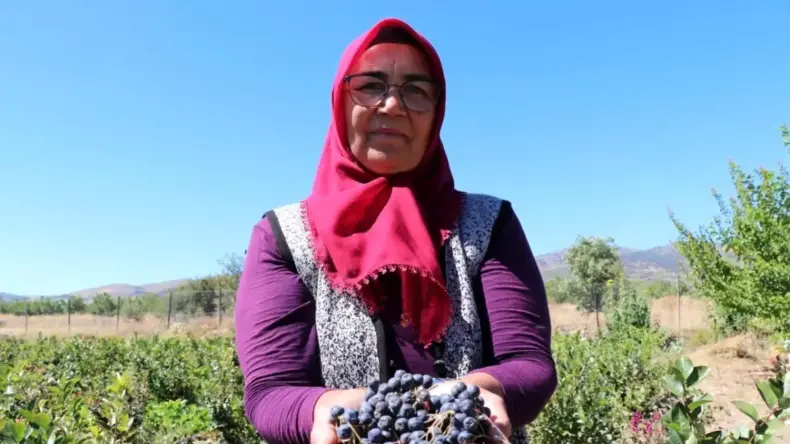 Aronya ile Şifa Dağıtan Kadın