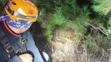 Uçuruma Düşen Turistler Kurtarıldı