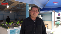 Antalya Balıkçı Barınağı: Deniz Tutkunları için Eşsiz Bir Mekan!