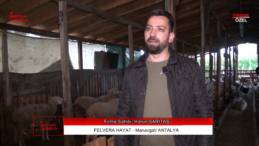 Harun Bey’den Doğal Tarım ve Lezzet Harikası: Felvera Çiftliği ve Taşkonak Restoran İle Tanışın!