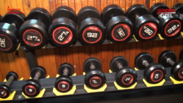 ANKA GYM – Manavgat / ANTALYA