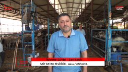 SAİT BATAK BESİCİLİK: Besicilikte kalitenin adresi