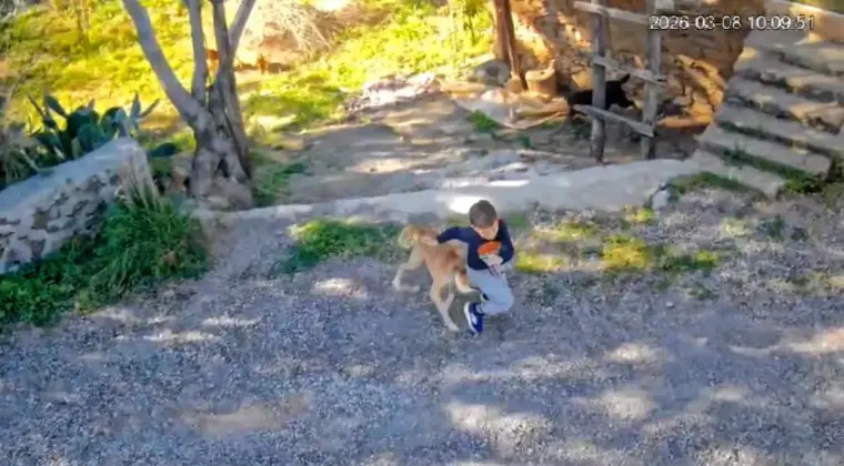 Antalya’da Çocuğa Köpek Saldırısı